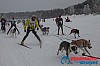 Joakim_B_2013-03-17_09-11-56.jpg