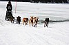 DPP_7658v.jpg DPP_7658v.jpg