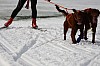 DPP_7669.jpg DPP_7669.jpg
