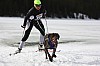 DPP_7670v.jpg DPP_7670v.jpg