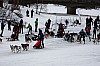 DPP_7690v.jpg DPP_7690v.jpg