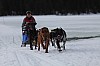DPP_7699.jpg DPP_7699.jpg
