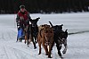 DPP_7700.jpg DPP_7700.jpg