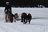 DPP_7701v.jpg DPP_7701v.jpg