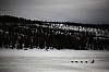 DPP_7705v.jpg DPP_7705v.jpg