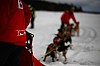 DPP_7709v.jpg DPP_7709v.jpg