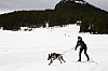 DPP_7710v.jpg DPP_7710v.jpg
