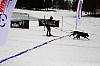 DPP_7714v.jpg DPP_7714v.jpg