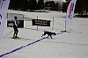 DPP_7716v.jpg DPP_7716v.jpg