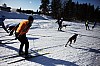 DPP_7723v.jpg DPP_7723v.jpg