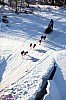 DPP_7733v.jpg DPP_7733v.jpg