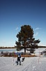 DPP_7750v.jpg DPP_7750v.jpg