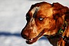 DPP_7763v.jpg DPP_7763v.jpg