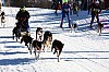 DPP_7766v.jpg DPP_7766v.jpg