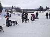 IMG_2084.jpg