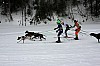 IMG_7058b.jpg