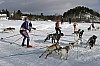 IMG_7064b.jpg