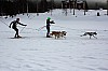 IMG_7159b.jpg