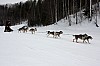 IMG_7356b.jpg