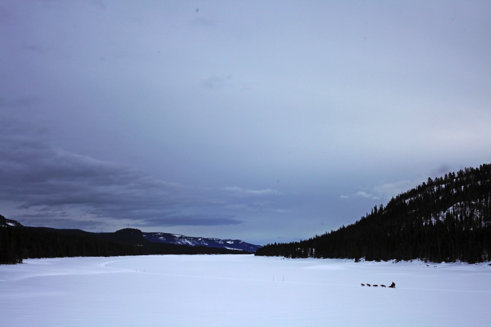 DPP_8430.jpg