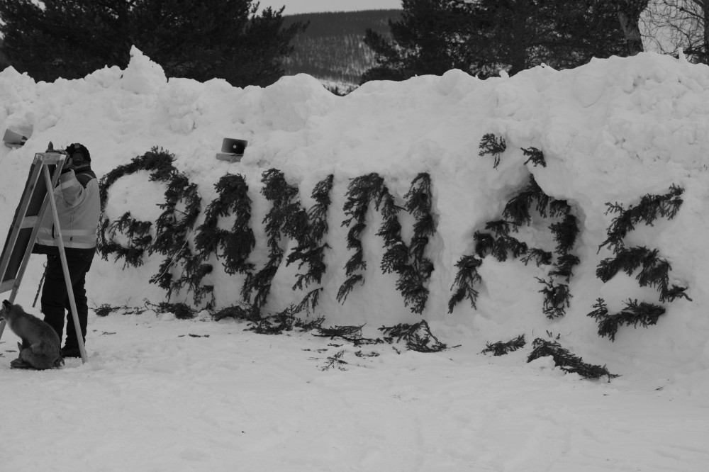 DPP_8434bw.jpg