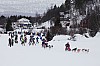 DPP_8416.jpg DPP_8416.jpg