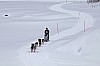 DPP_8420.jpg DPP_8420.jpg