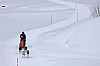DPP_8421.jpg DPP_8421.jpg