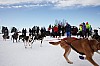 DPP_8439.jpg DPP_8439.jpg