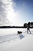 DPP_8440.jpg DPP_8440.jpg