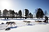 DPP_8443.jpg DPP_8443.jpg