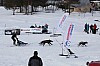 DPP_8451.jpg DPP_8451.jpg