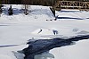 DPP_8465.jpg