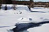 DPP_8466.jpg