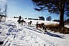 DPP_8477.jpg