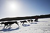 _MG_0748v.jpg