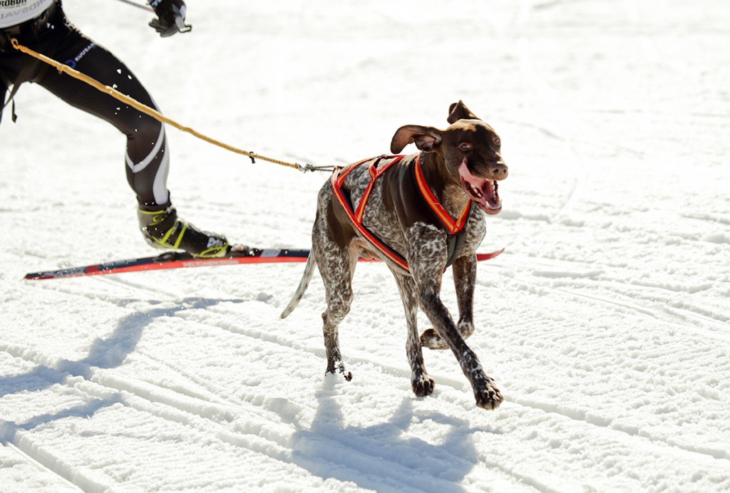 _MG_0887.jpg