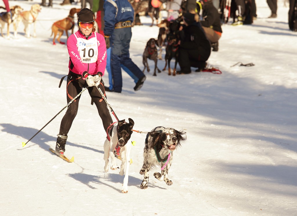 _MG_0966.jpg