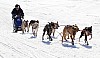 _MG_0874.jpg