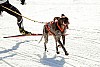 _MG_0887.jpg