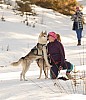 _MG_0939.jpg