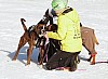 _MG_1014.jpg