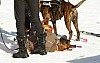 _MG_1017.jpg