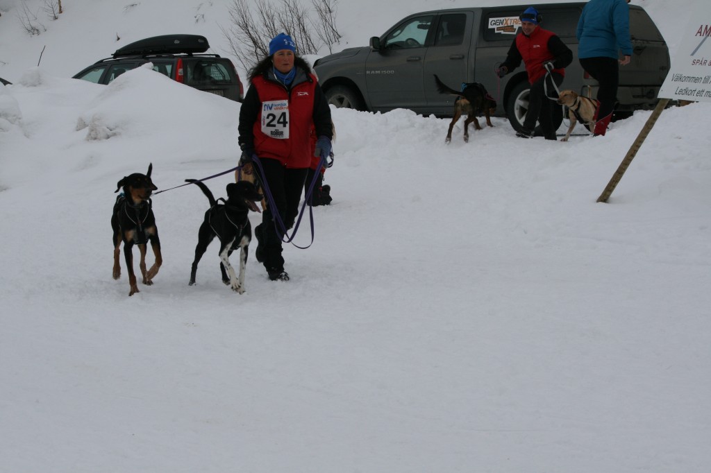 IMG_7563.jpg