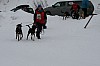 IMG_7563.jpg IMG_7563.jpg