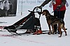 IMG_7564.jpg IMG_7564.jpg