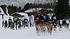 IMG_7584.jpg IMG_7584.jpg