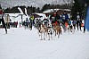 IMG_7586.jpg IMG_7586.jpg