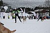 IMG_7597.jpg IMG_7597.jpg