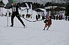 IMG_7599.jpg IMG_7599.jpg